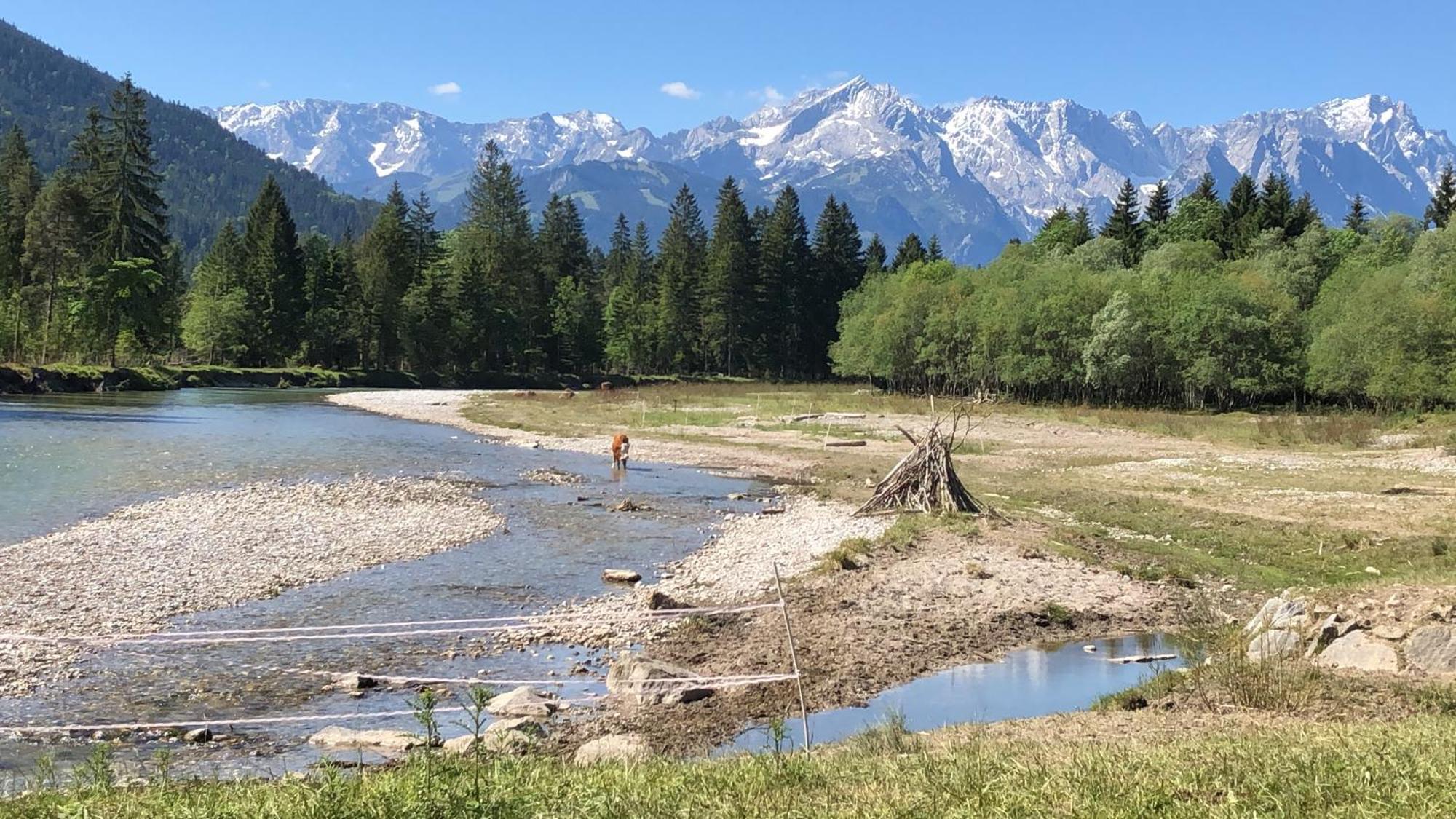 Regina Lägenhet Garmisch-Partenkirchen Exteriör bild